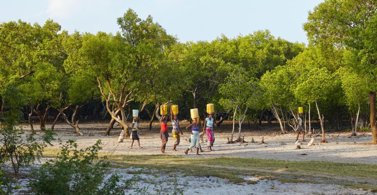 Mangrove View Acomodação com café da manhã Watamu Exterior foto